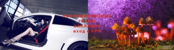 прущий лед Снежногорск