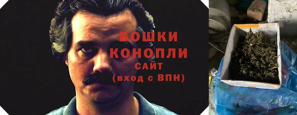 шишки Балахна
