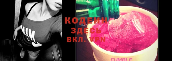 шишки Балахна