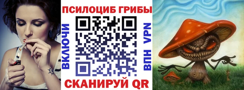 даркнет сайт  Урус-Мартан  Галлюциногенные грибы Cubensis 